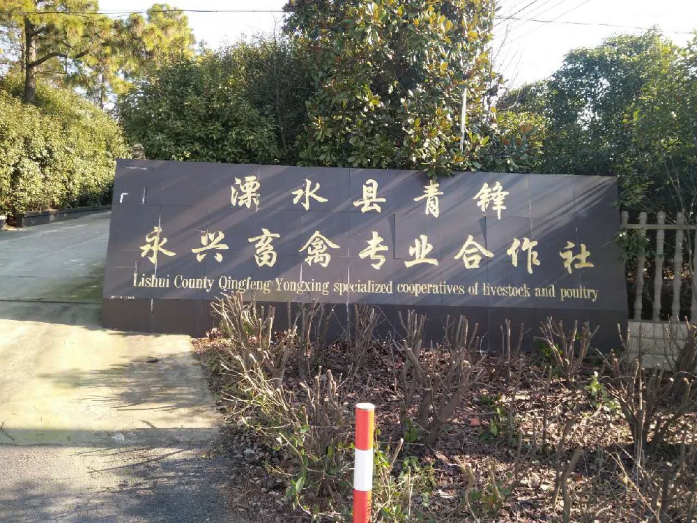 热烈庆祝南京市溧水区青锋永兴畜禽养殖专业合作社官网正式改版上线！